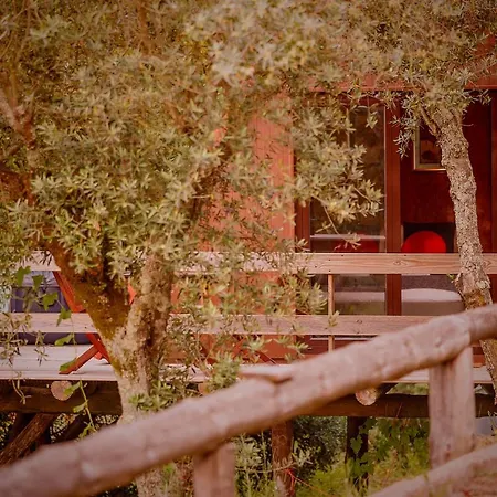 Arrabia Glamping 4* Raiva