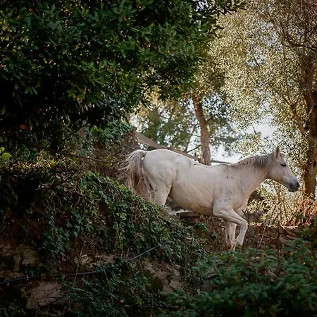 Arrabia Glamping Bed & Breakfast