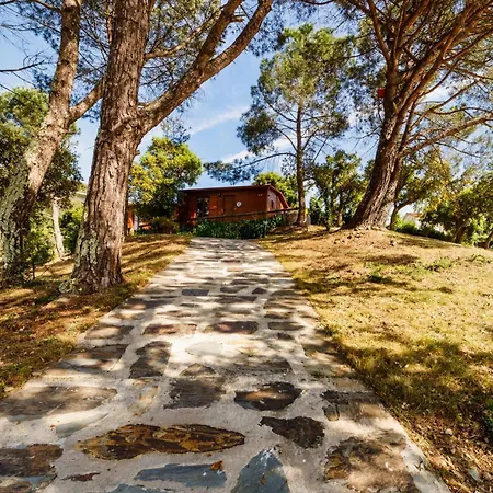 Arrabia Glamping Bed & Breakfast